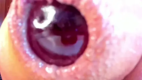 NikkaHOTx webcam model stream image