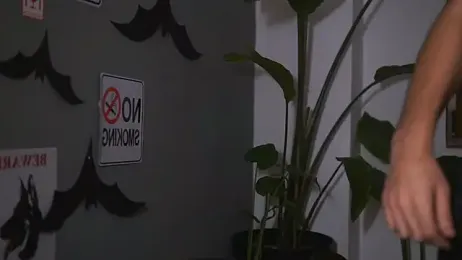 HairyRobxxx webcam model stream image