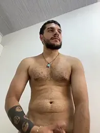 AmadeoWild 预览图