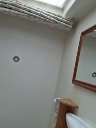 theSecretBallerino webcam model stream image