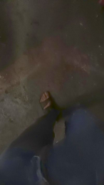 wolfi80 webcam model stream image