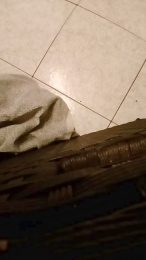 alessandravite1 webcam model stream image