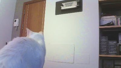 seralons webcam model stream image