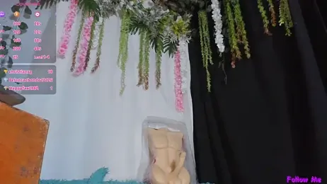 vane63 webcam model stream image