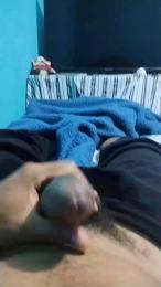 gvincol webcam model stream image