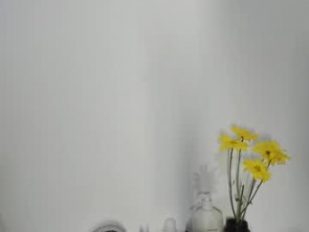 andreaflamel webcam model stream image