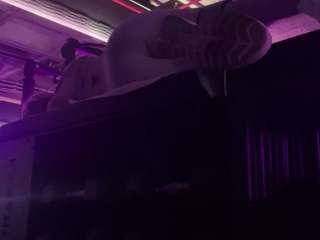 meghanwolf webcam camsoda model stream image