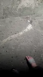 mendelicius webcam model stream image