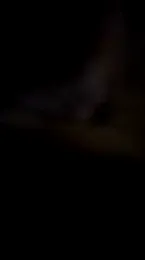 mendelicius webcam model stream image