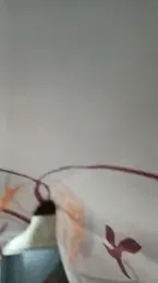 mendelicius webcam model stream image