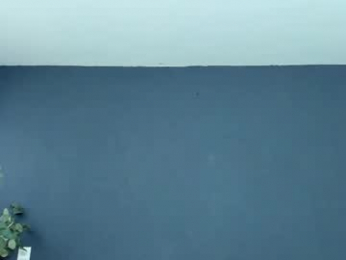 recce_taylor4 webcam model stream image