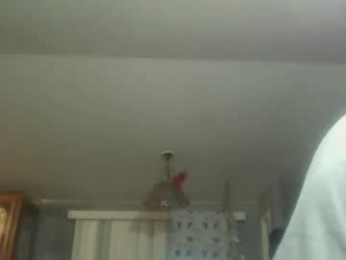 queenking55 webcam model stream image