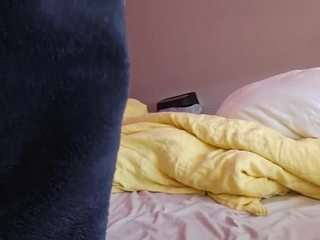 13bolpen webcam model stream image