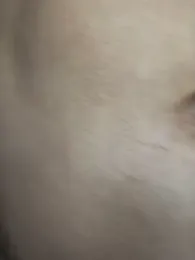 dot_21cm_ webcam model stream image