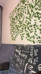 bravo_maestro webcam model stream image