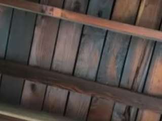 nutman007 webcam model stream image