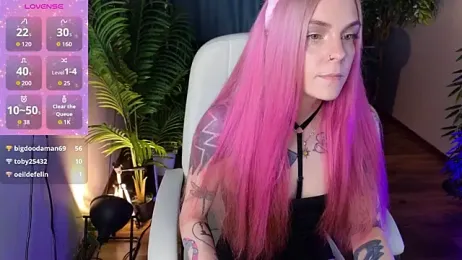 TerryMorris webcam stripchat model stream image