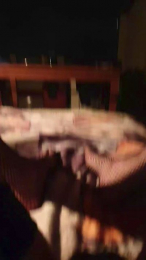 ____Sara__ webcam model stream image