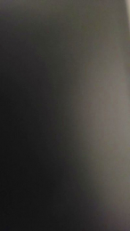 Neewlook webcam model stream image