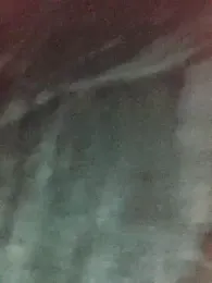 LoboSolitariooy webcam model stream image