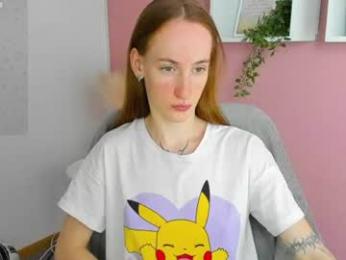 jaidii_ webcam model stream image