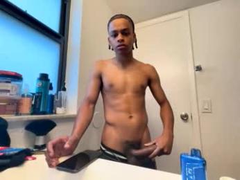 guimaraesconfigurar webcam model stream image