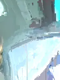 South_Carolina webcam model stream image