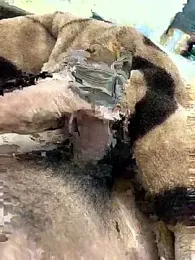 its_Surya_BBC webcam model stream image