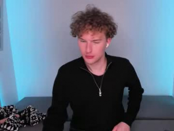 firevein webcam model stream image