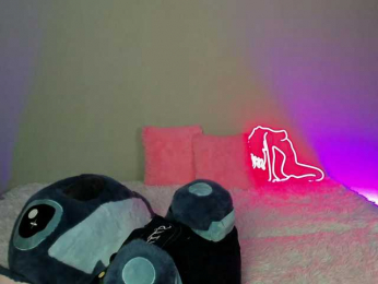 EvaBallmer webcam model stream image