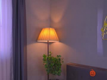 bellacle webcam model stream image