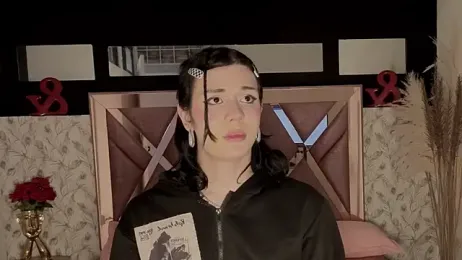 pixy_20 webcam model stream image