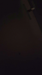 Katialanave webcam cam4 model stream image