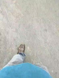 captain_juicyprecum webcam model stream image