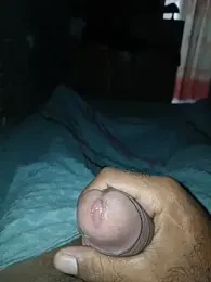 taylorWiiz webcam model stream image