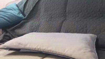 bispose webcam model stream image