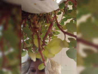 LagoonJoy webcam model stream image