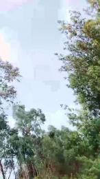 _noahdiaz webcam cam4 model stream image