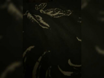 AlexDiSmaile webcam model stream image