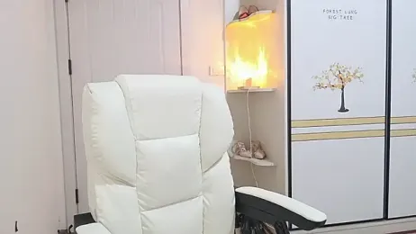 LI-200310 webcam model stream image