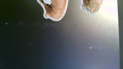 chatterguy4 webcam model stream image