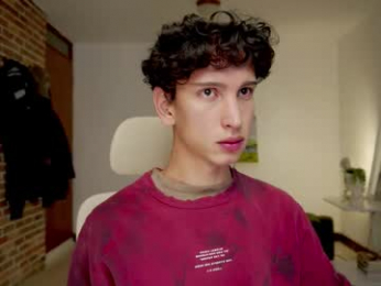 boream_ webcam model stream image