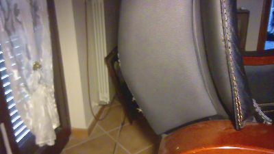 franckroma webcam model stream image