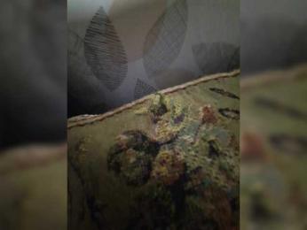 AnalNaYAVECHERINA webcam model stream image