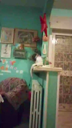 vogliaporcellin webcam cam4 model stream image