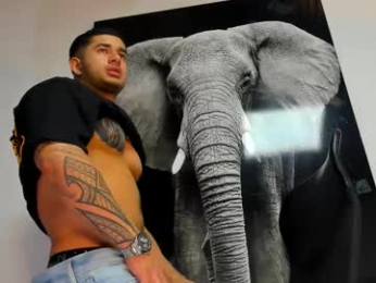 king_falconer webcam chaturbate model stream image