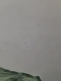 Love-pari077 webcam model stream image