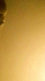 Saltycookei webcam model stream image