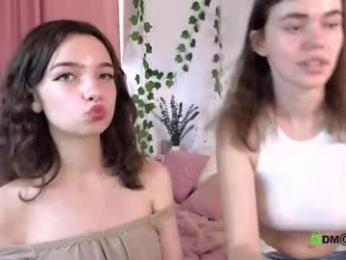 evi_brook webcam model stream image