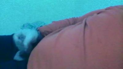 hbk55 webcam model stream image